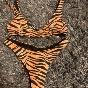 PacSun zebra swimming!